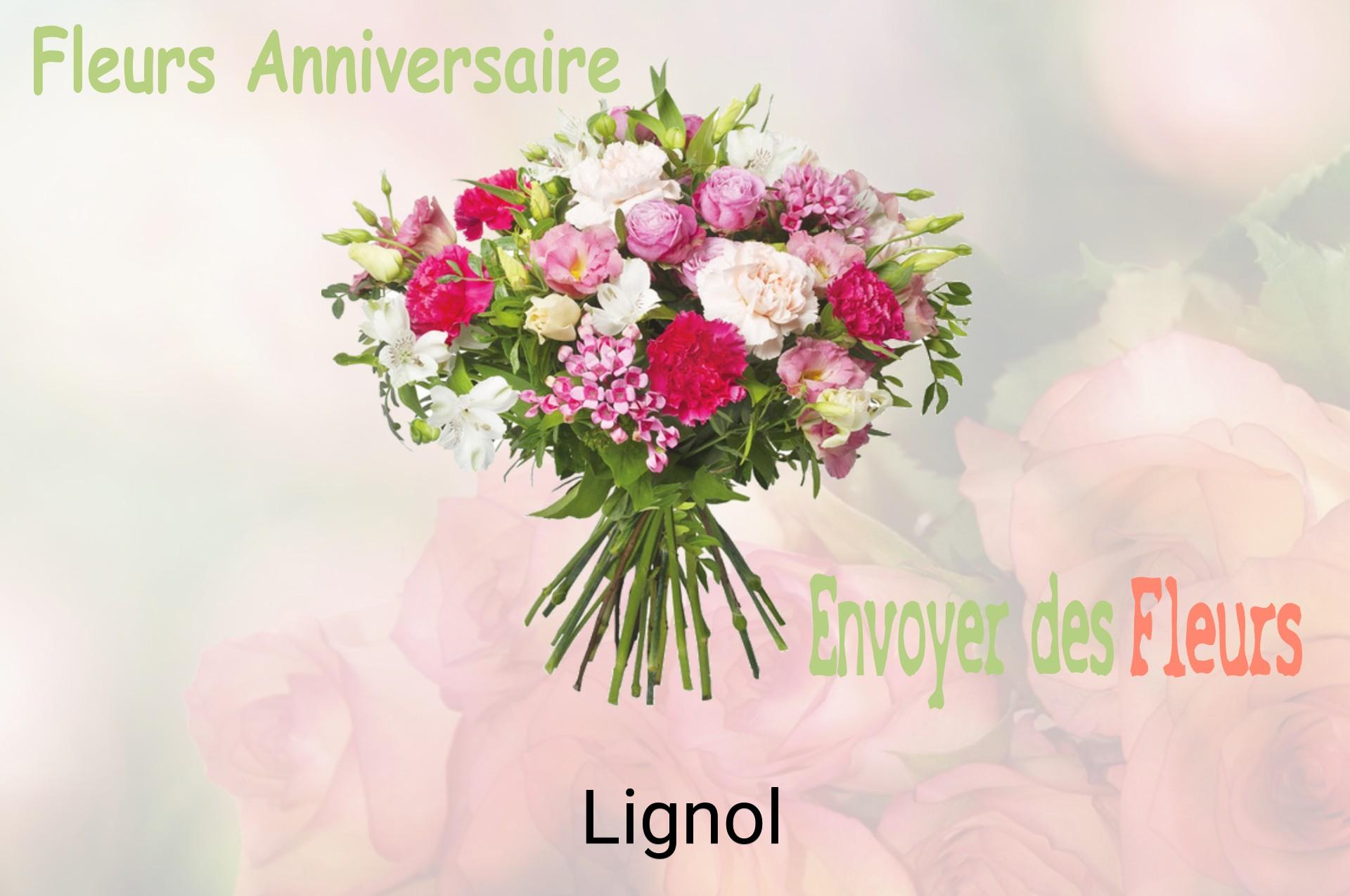 Bouquet de fleurs d’anniversaire livré à Lignol
