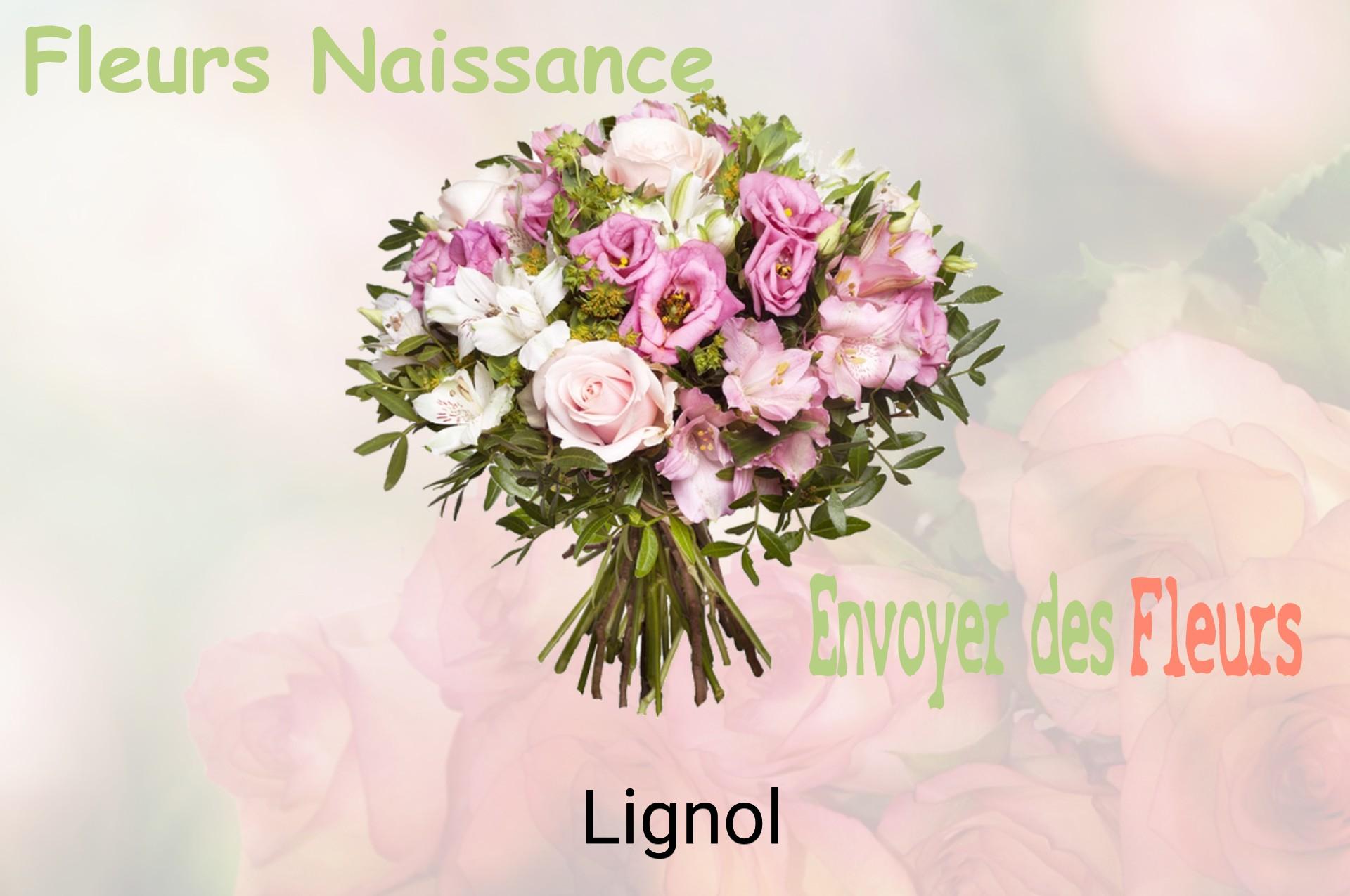 Bouquet de fleurs de naissance livré à Lignol