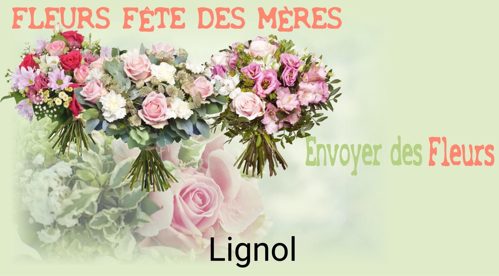 Bouquet de Fête des Mères livré à Lignol